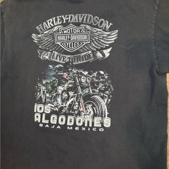 Harley Davidson Baja Mexico Motorcycle Shirt Large Unisex - Picture 2 of 4